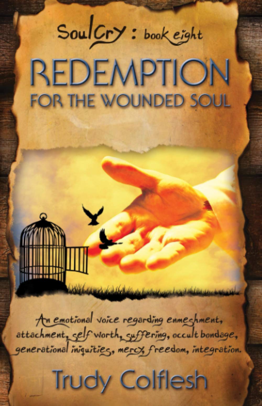 Redemption for the Wounded Soul: An emotional voice regarding enmeshment, attachment, self worth, suffering, occult bondage, generational iniquities, mercy, freedom, integration: Volume 8 (Soulcry)