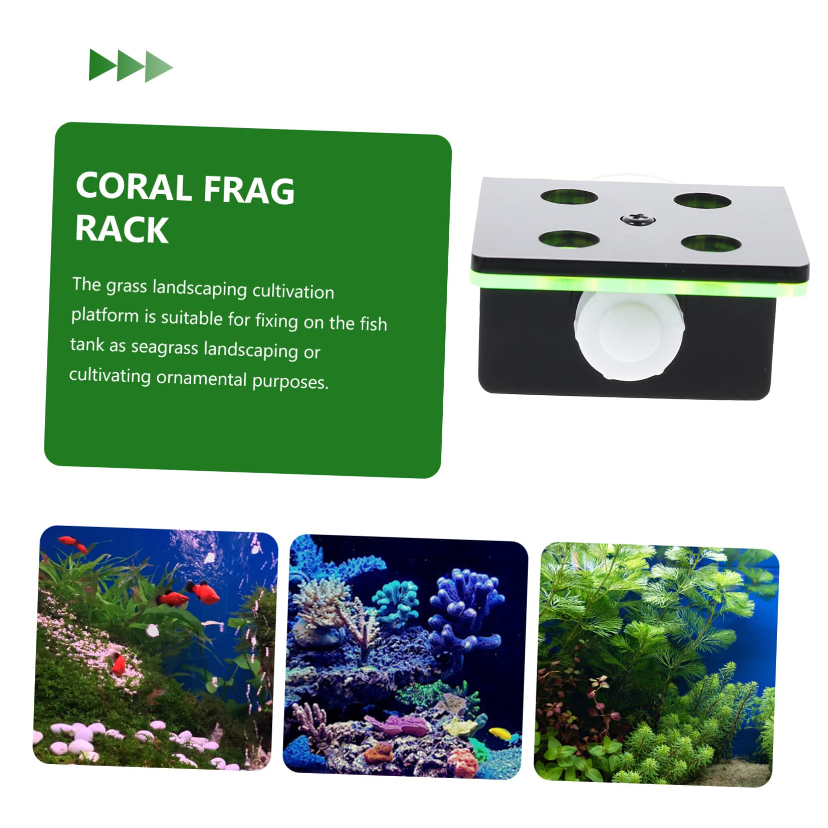 Kisangel 3stücke Double Layer Holder Aus Hochwertigem Stabiler Unterstützung Für Korallen Und Aquarienpflanzen Für Aquarien-Dekoration Und Korallen-zucht