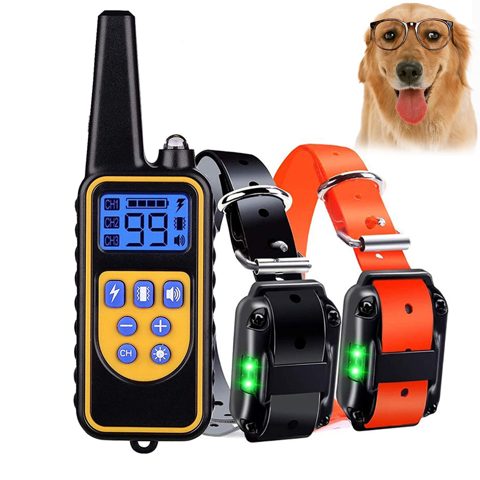 How To Train Two Dogs