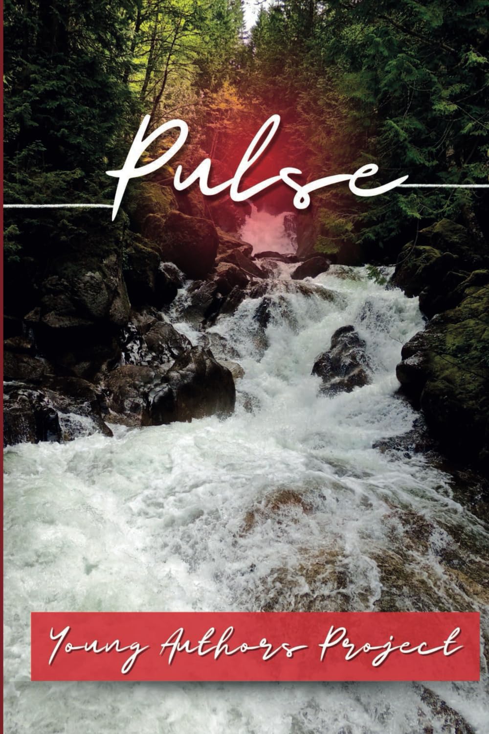 Pulse: Young Authors Project