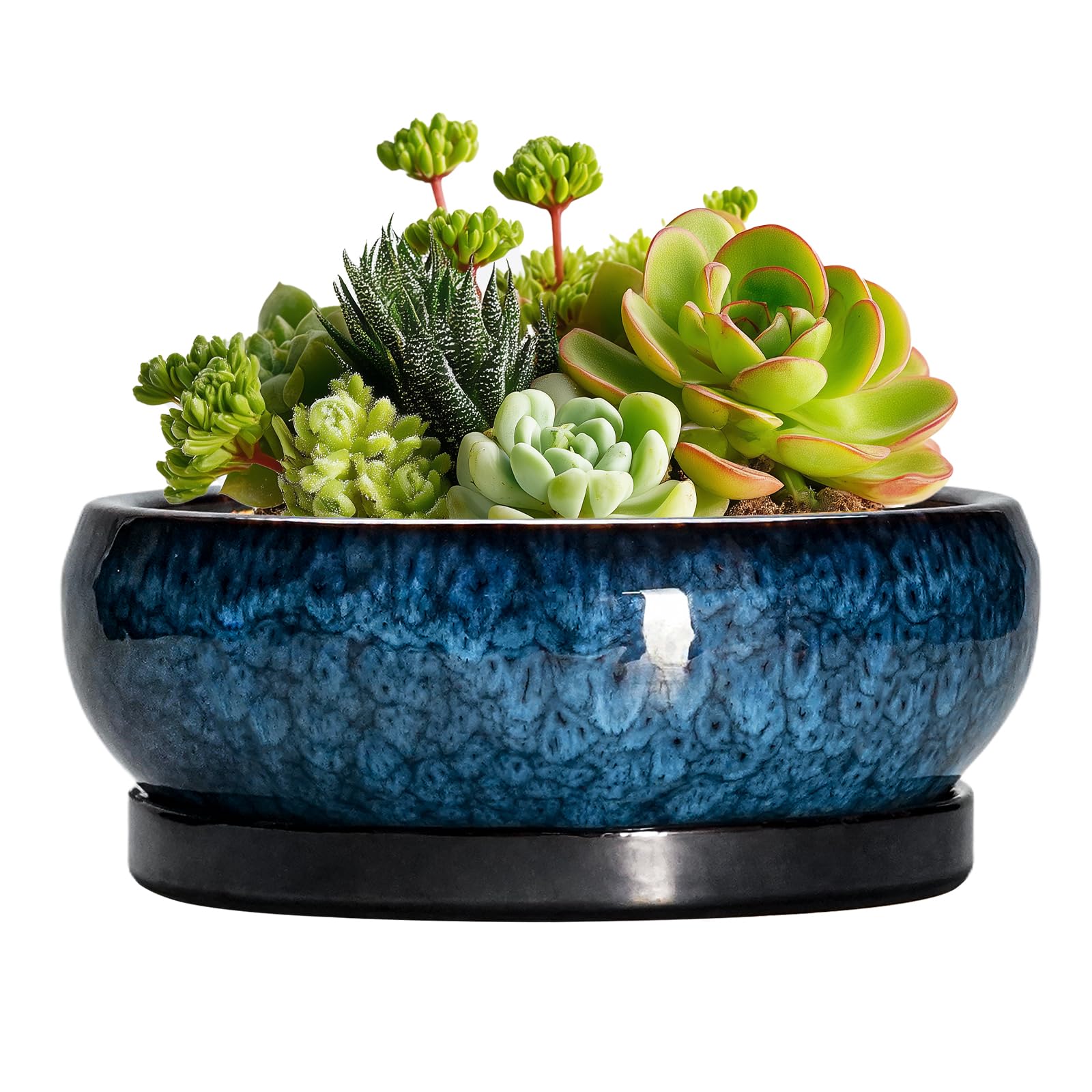 EPFamily 6 Inch Ceramic Bonsai Pot