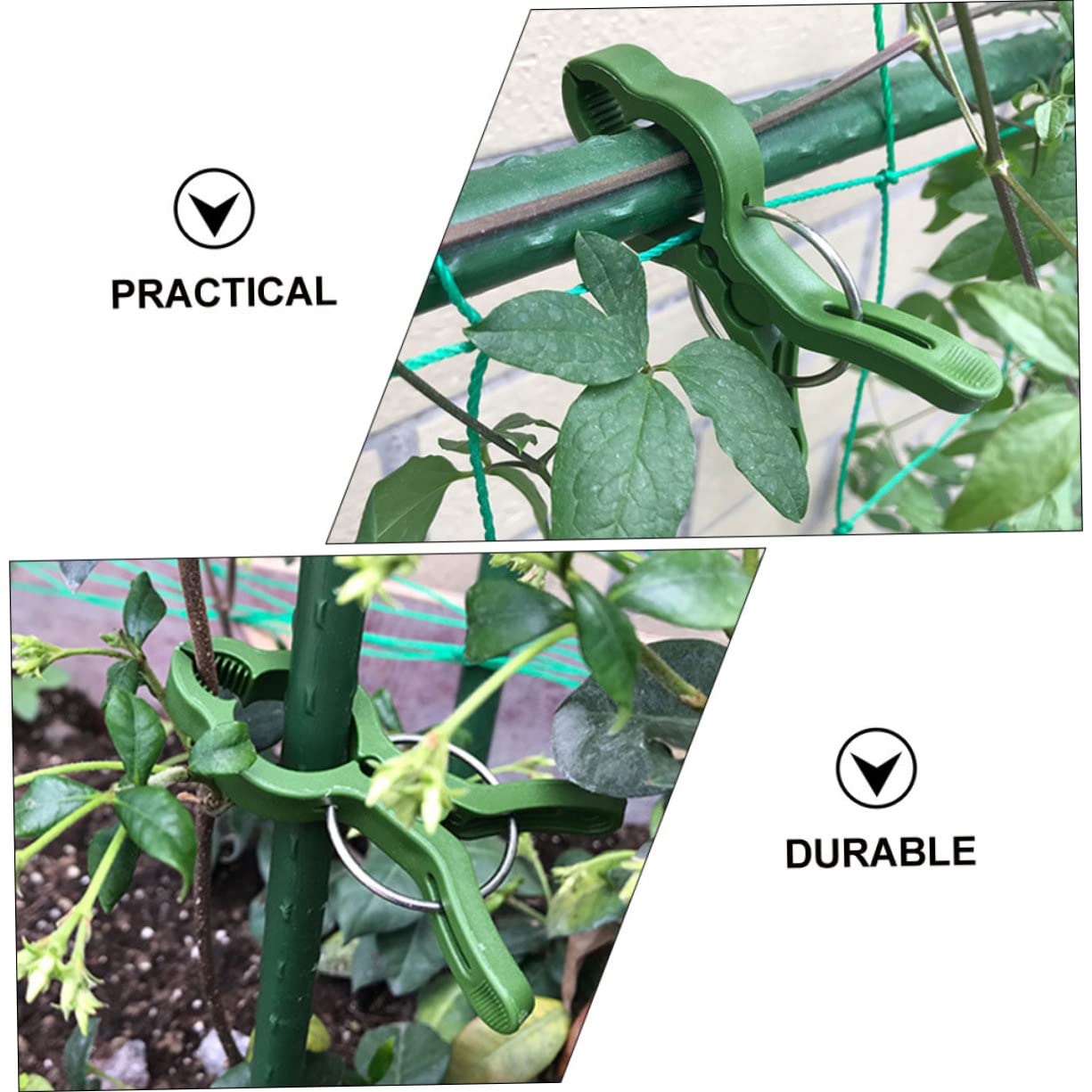 ifundom 5 Sätze Orchideen-Clip Im Freien Clips Für Kletterpflanzen Gartenpflanzenklammern Klemmbausteine Befestigte Clips Für Den Garten Vergossener Fester Clip Plastik Grün 10 Stück * 5