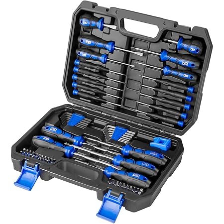 PROSTORMER Magnetic Screwdriver Set, 79-Piece Multi-Purpose Slotted/Phillips Screwdriver Kit with Precision Screwdrivers, Allen Wrench Set and Screwdriver Bits for DIY and Repair Works