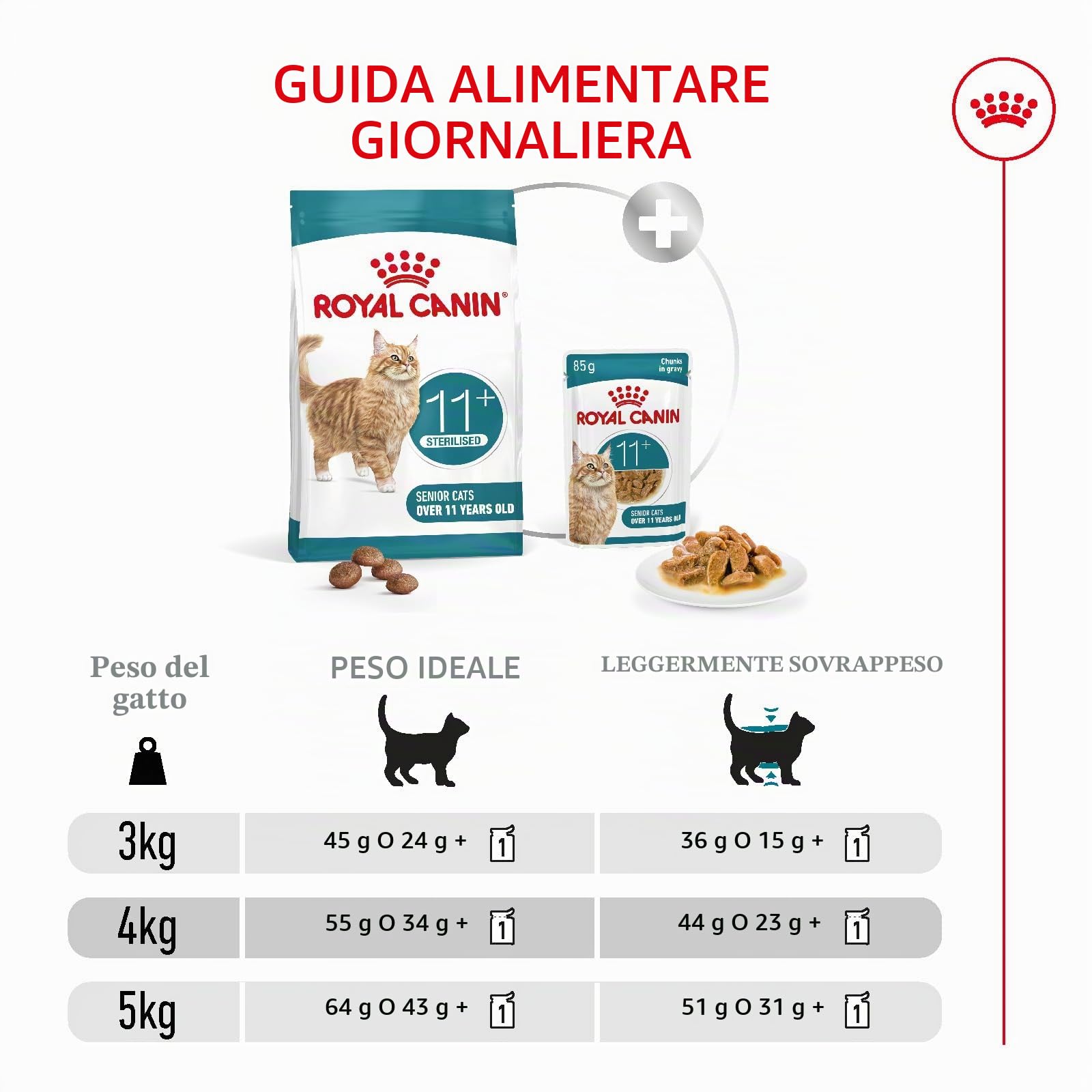 ROYAL CANIN AGEING 11+ | 4 kg | Cibo secco per gatti anziani a partire dall'11° anno di vita | Formula con il complesso HealthyAge7™ | Contiene crocchette facili da masticare