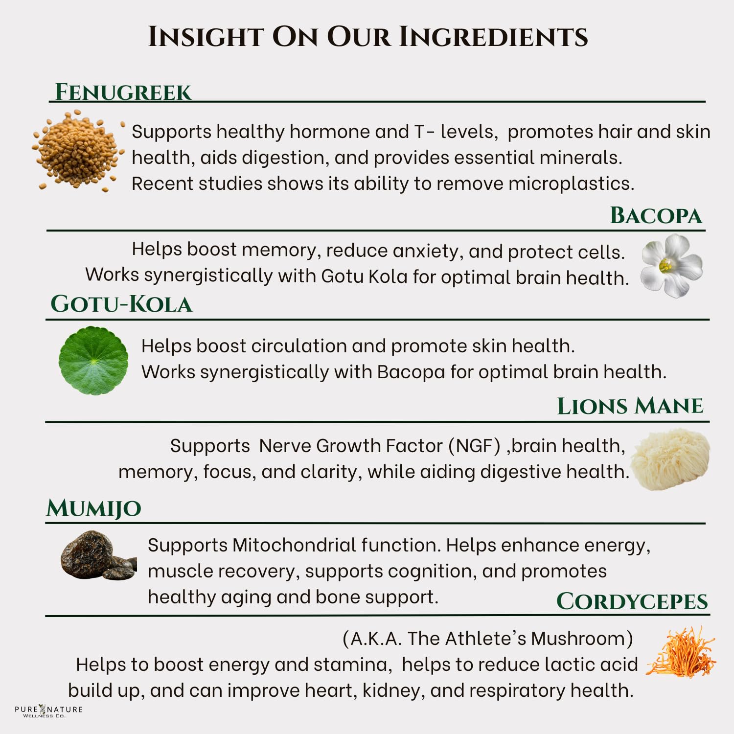 Focus+Energy Nootropic: Memory, Recall, NGF, Cellular ATP & Muscle Support -6-in-1 Organic Mushroom Complex- Advanced Brain Health-Natural Cellular Energy-Caffeine Free Biohack — Amazon image 8