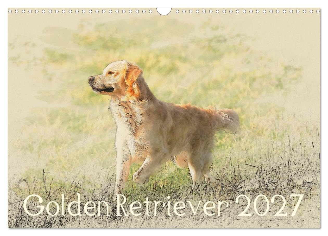 CALVENDO - Golden Retriever 2027 (Wandkalender 2027 DIN A3 quer), Monatskalender: Golden Retriever im kunstvollen Aquarell-Stil. Jedes Monatsmotiv gleicht einem kleinen Kunstwerk