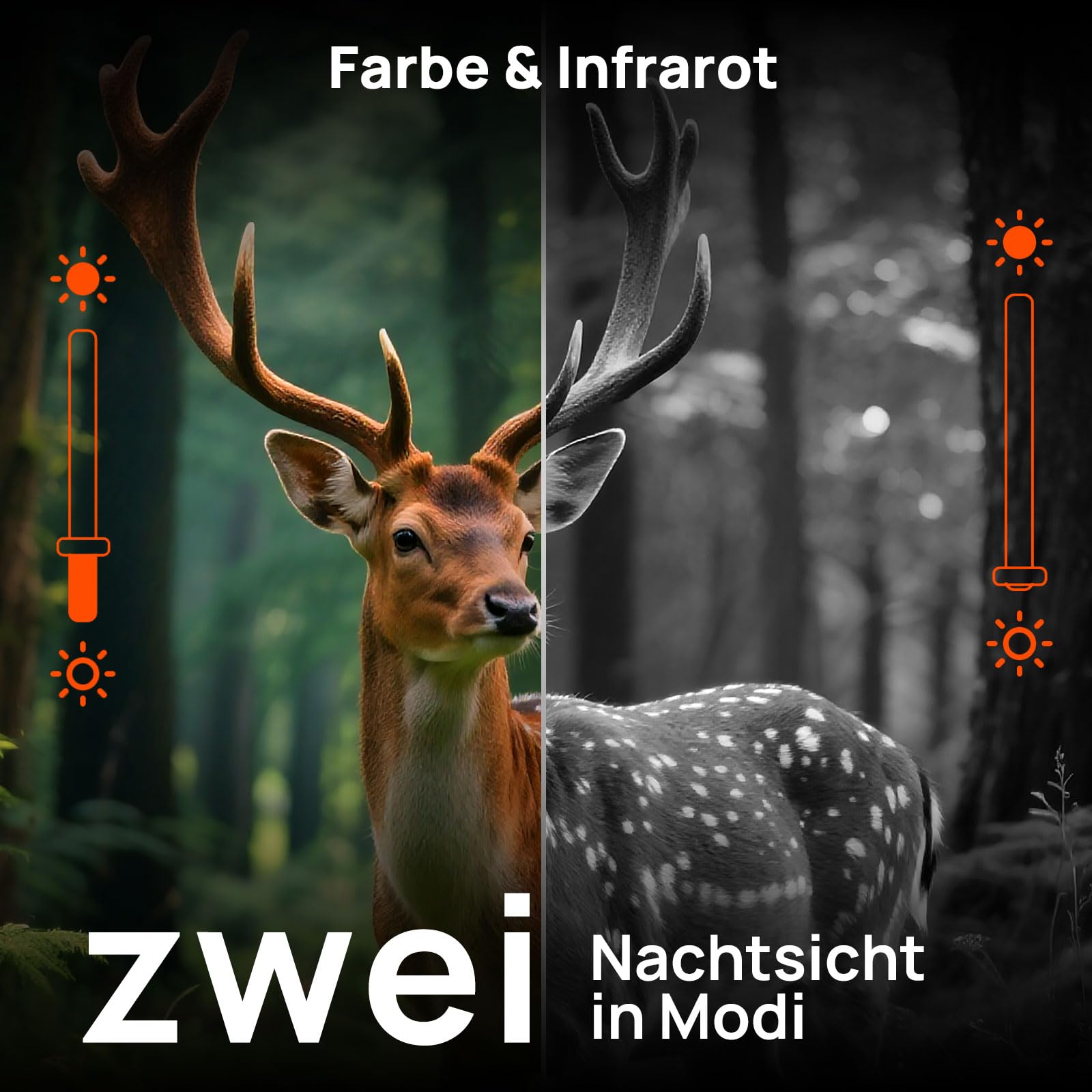 iZEEKER Wildkamera WLAN Duales Objektiv 4K 30fps 60MP, Wildtierkamera mit Sternenlicht Nachtsicht Bewegungsmelder, 120° Erfassungswinkel 0,1s Auslösezeit, Wildcamera mit 32GB SD-Karte und 4 Batterien