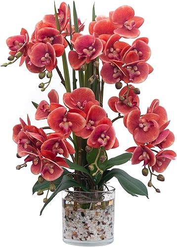 Orquídea artificial Orquídeas artificiales de tacto real con jarrón de vidrio en agua sintética Orquídea falsa realista Arreglos florales fucsia
