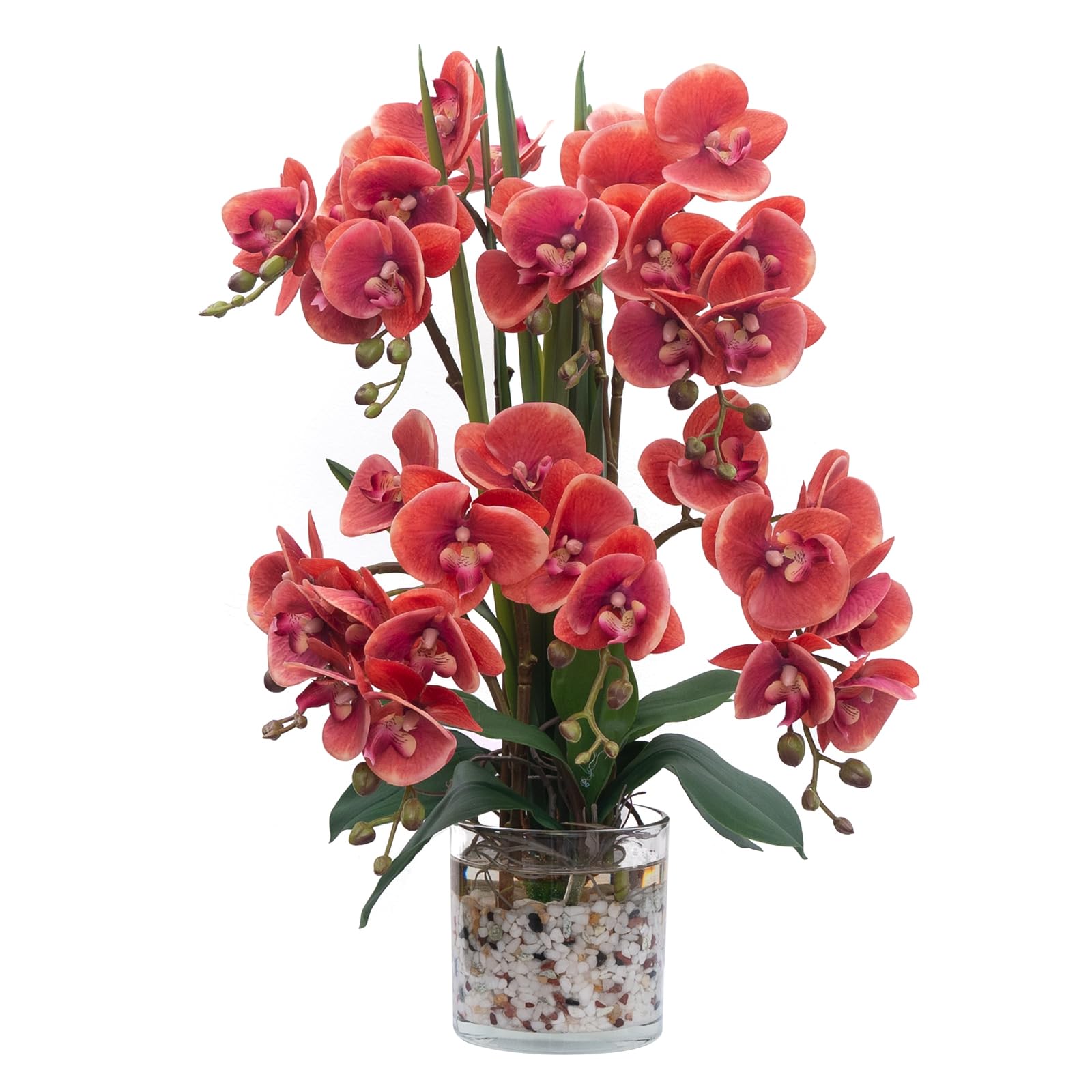 CXGS Artificial Orchid Flower - Real Touch Faux Orchids with Glass Vase in Faux Water - Realistic Fake Orchid - Fuchsia Phalaenopsis Floral Arrangements Centerpiece Table Home Indoor Decor