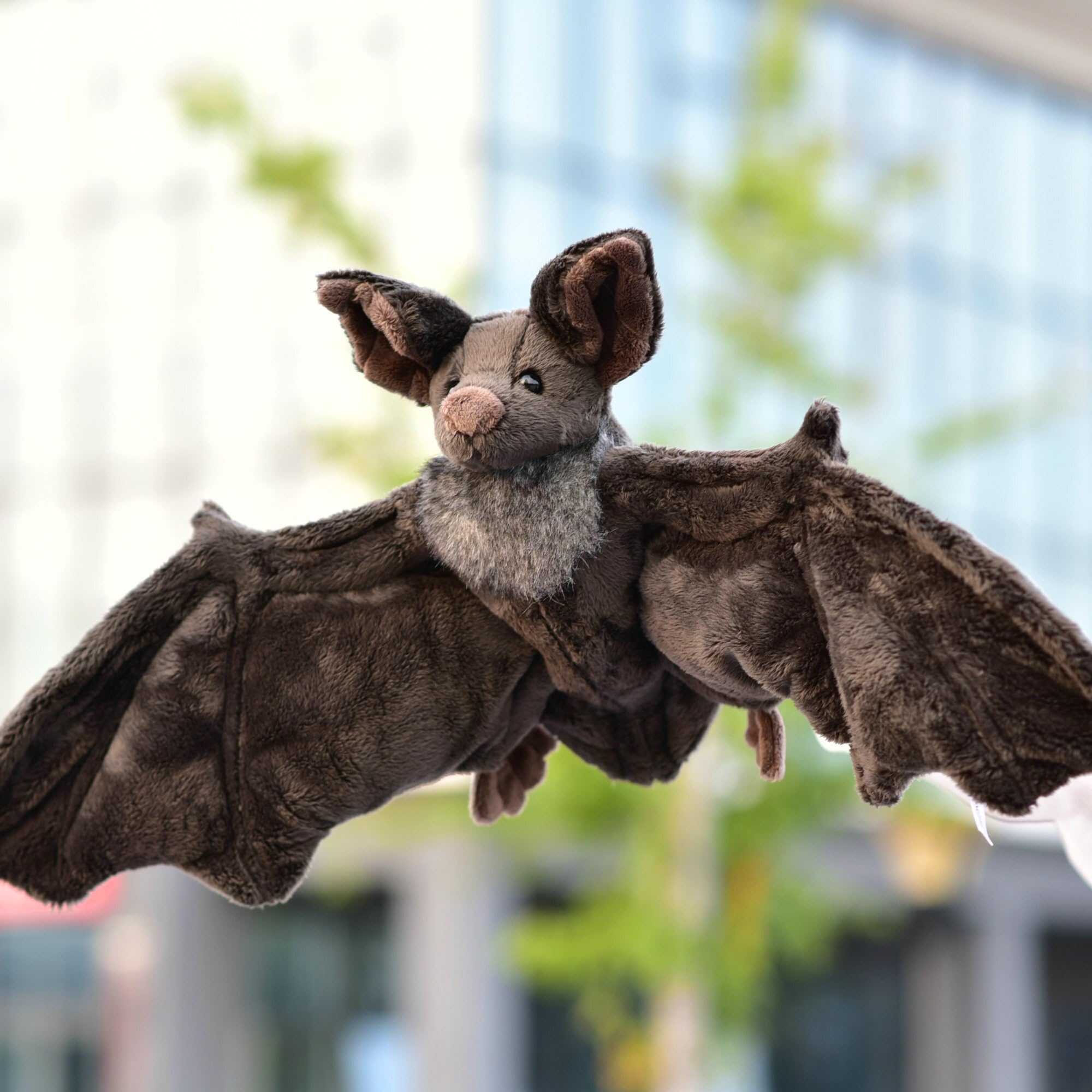 Grande apertura alare del pipistrello in peluche