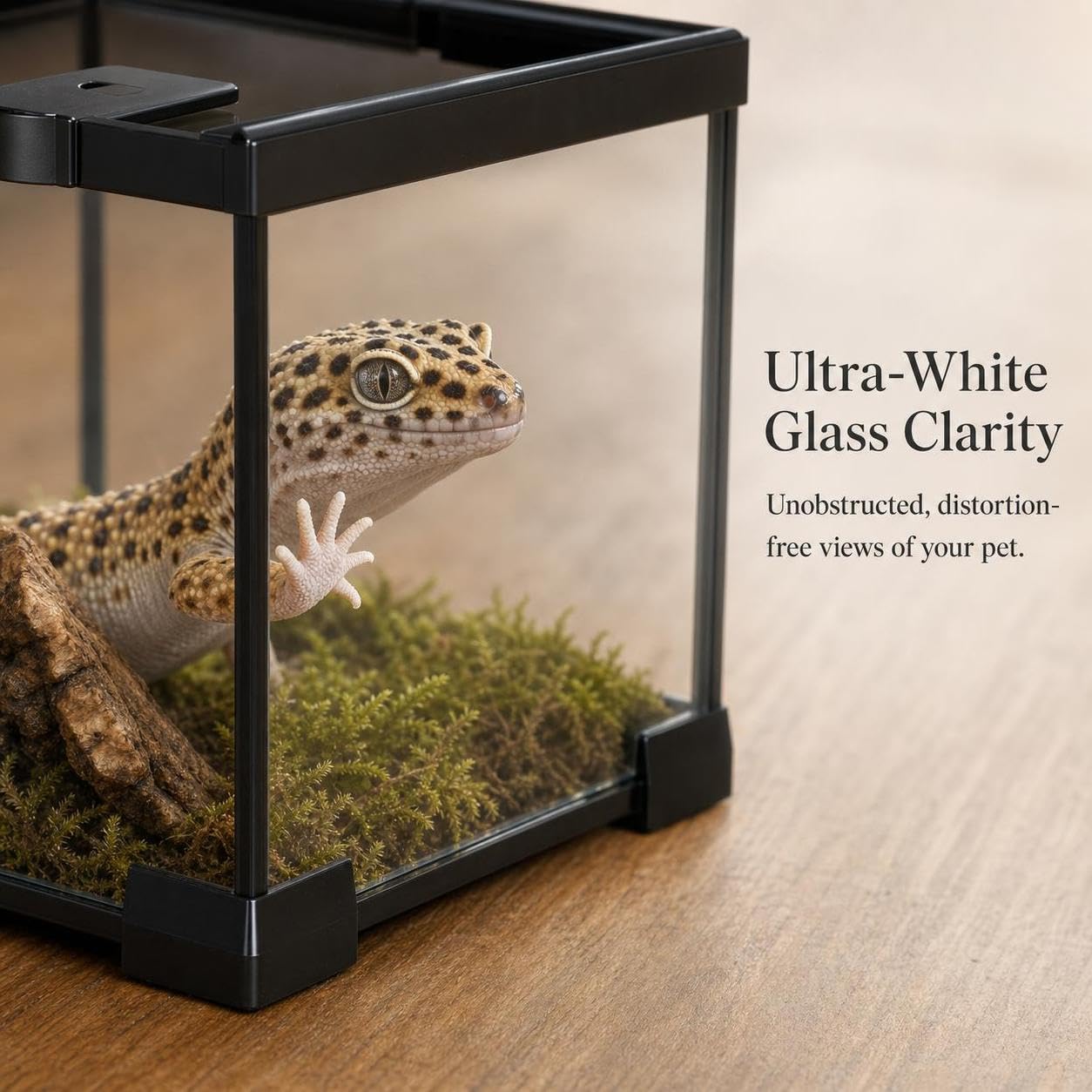Amphibien ien Terrarium, 50 x 30 x 15 cm | Aus transparentem Material und - für ien Zucht | Amphibien Haltung | für Terraristik, für die Haltung