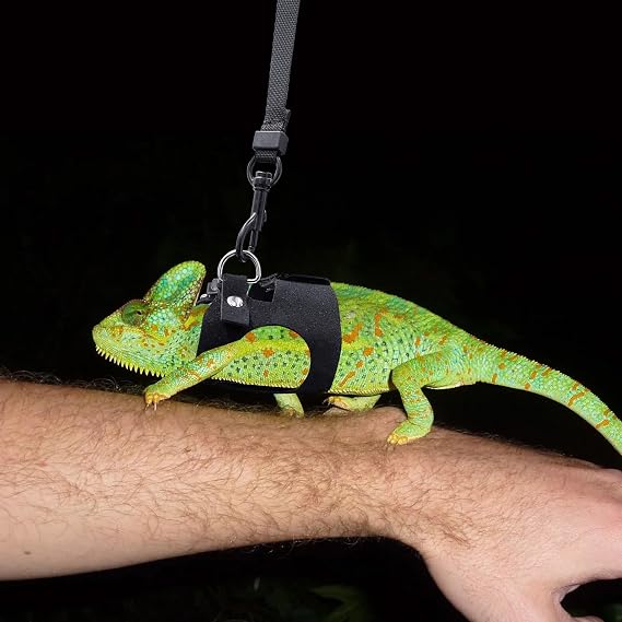 3PCS Bearded Dragon Harness and Leash Set | 3 Size Adjustable Reptile Leash