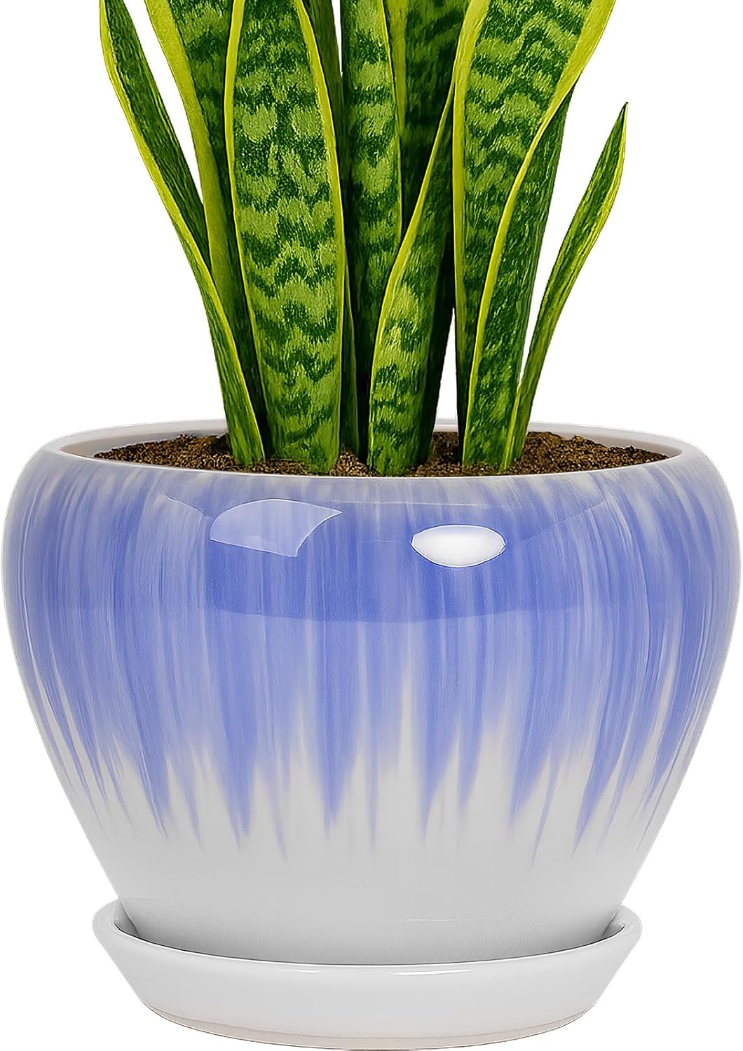 Deep Dream 8 Inch Plant Pots- Ceramic Pots for Plants with Drainage Hole and Saucer, Large Planter Pot for Indoor Plants Outdoor Decor, White&Blue White&blue 8 Inch