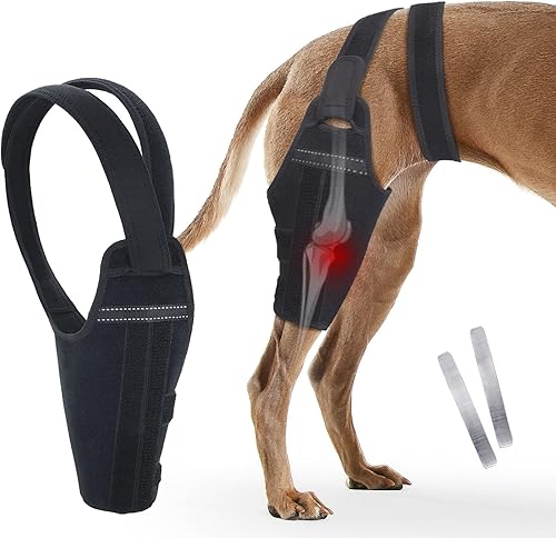 Rodillera para perro para pierna trasera desgarrada, soporte ajustable con 2 estabilizadores para reducir el dolor, lesiones de ligamentos y rótula