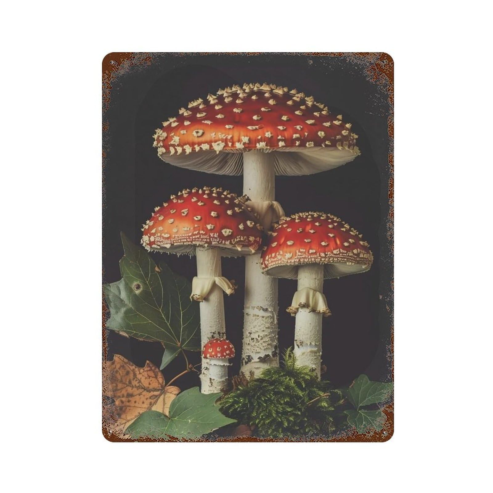 HDURYEYRYY Dark Forest Amanita Muscaria 02 Wall Retro Iron Vintage Art Metal Tin Sign Poster Modern Home Cofffee Club Art Bar Shop Decor 40x30cm