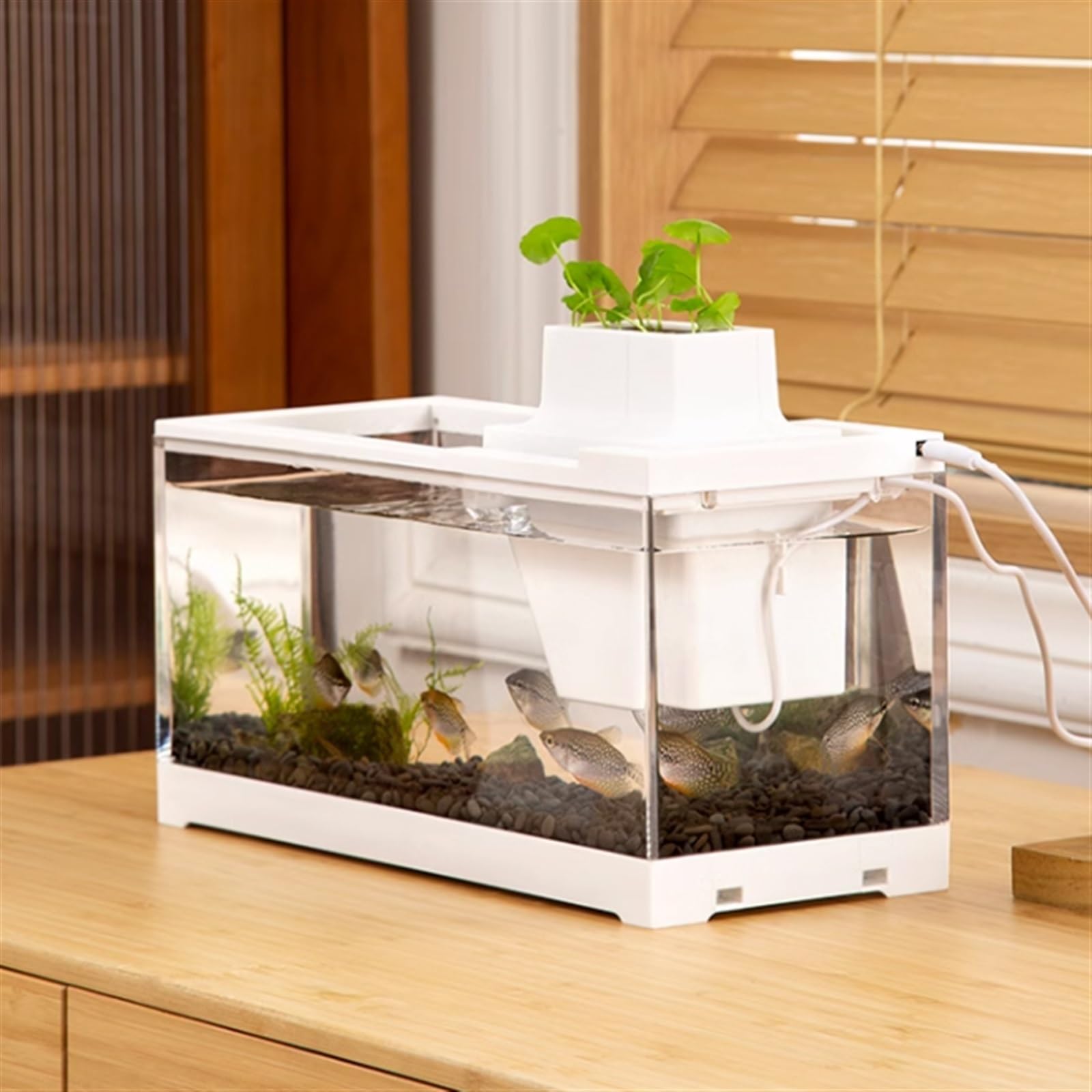 Aquarium Aquarium-Tank, transparent, rechteckig, aus Acryl, sturzsicher for den Heimgebrauch, mit Pumpe und integriertem Licht, ökologisches Aquarium Fischtank