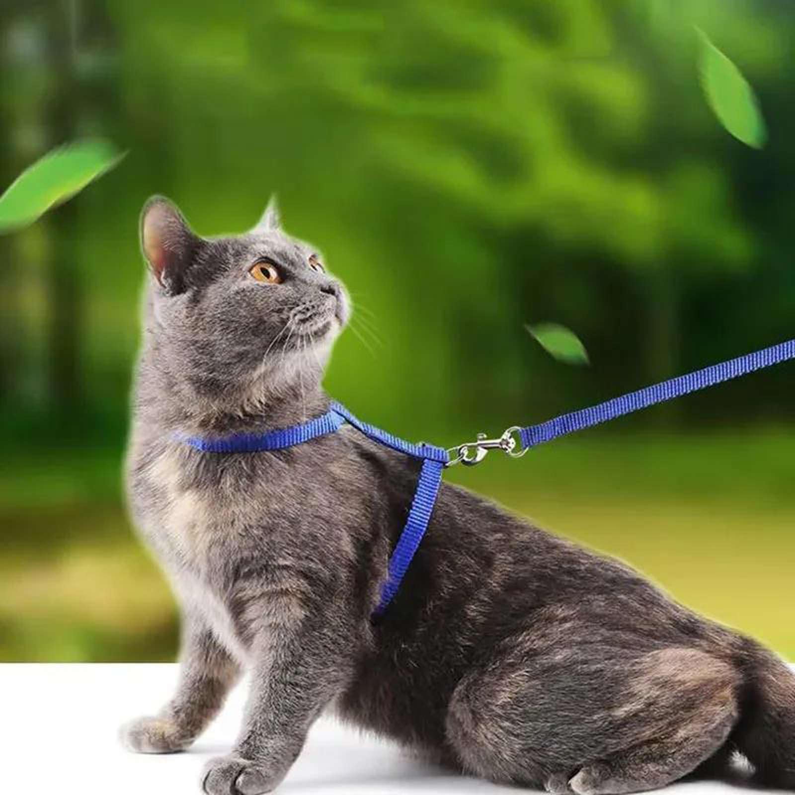 Harnais léger réglable pour Chat et Laisse Ensemble Escape pour Promenade Voyage Petits Animaux Harnais pour Chiot