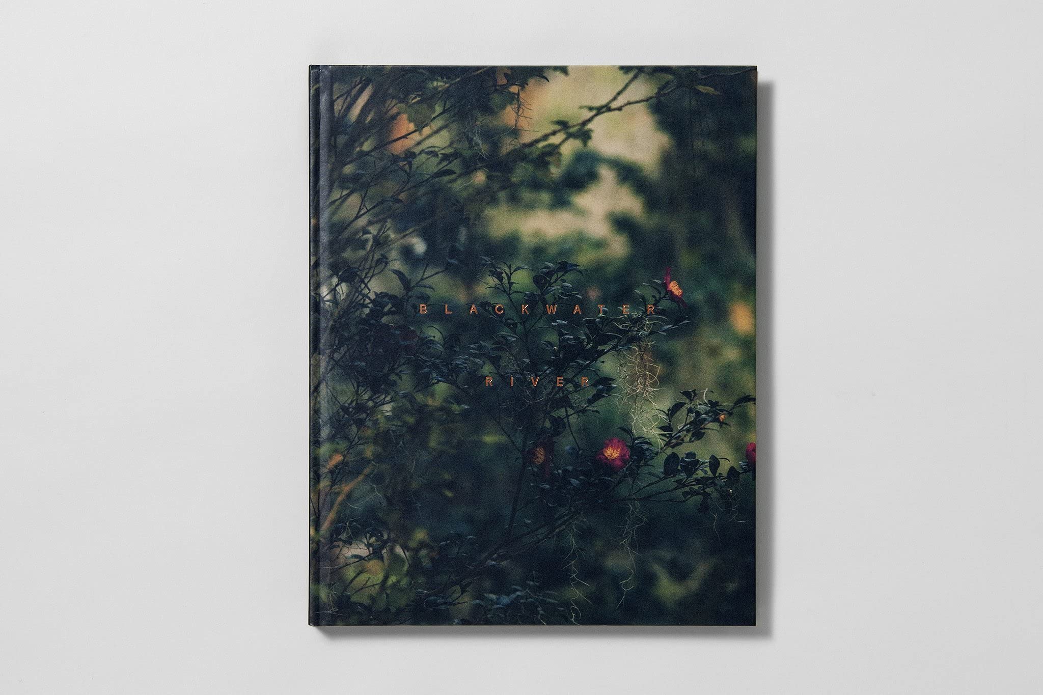 Blackwater  初版　Robbie Lawrence Robbie Lawrence: Brackwater River