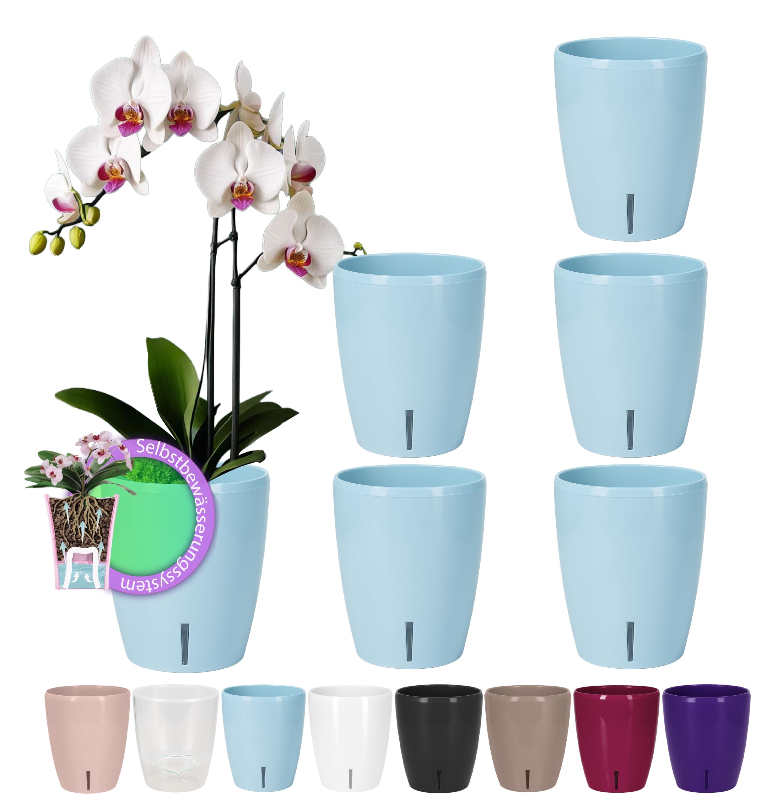 Santino Maceta para Orquídeas Ø 12cm Maceta Autorriego con Sistema de Mecha e Indicador de Nivel de Agua para Interior (Ø 12cm - 1,3L - Transparente) — view 28