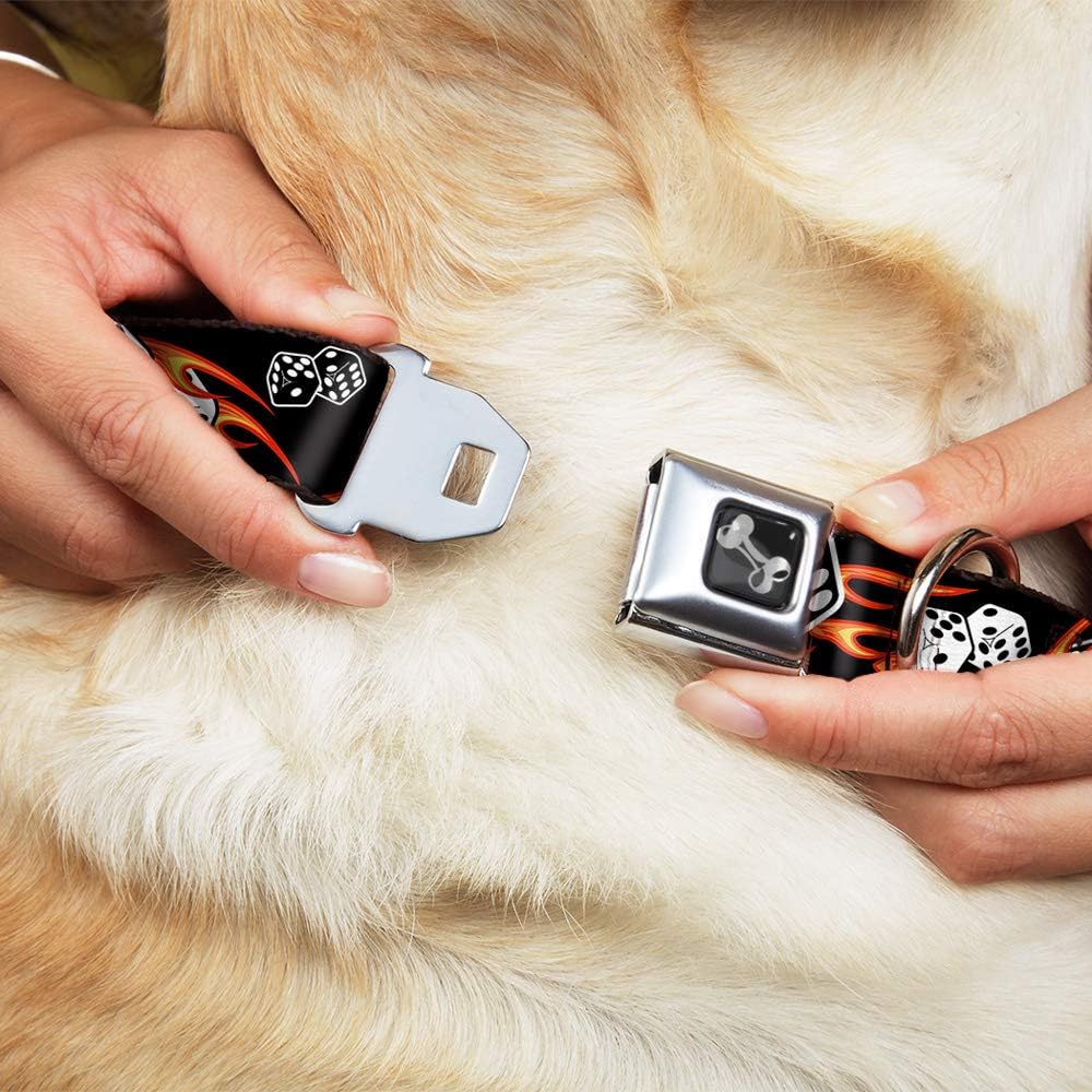 Buckle-Down Seatbelt Buckle Dog Collar - Flaming Dice - 1" Wide - Fits 11-17" Neck - Medium