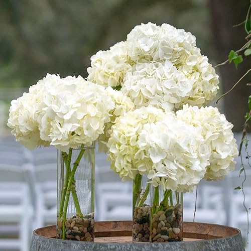 Miniatura 2 de WDHODEC Portavelas de huracán para velas de pilar, jarrones cilíndricos de vidrio transparente para flores, votivas para centros de mesa de fiesta