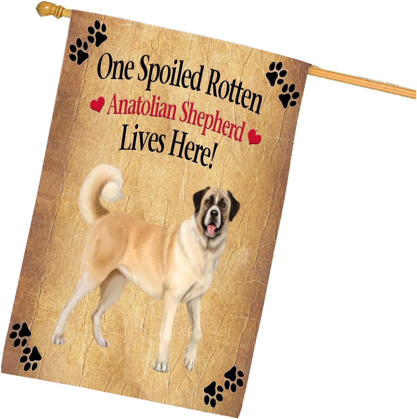 Doggie of The Day Anatolian Shepherd Dog House Flag - Spoiled Rotten - Outdoor Double Sided Pet Home Garden Decor 28"w x 40"h, HFLG52238