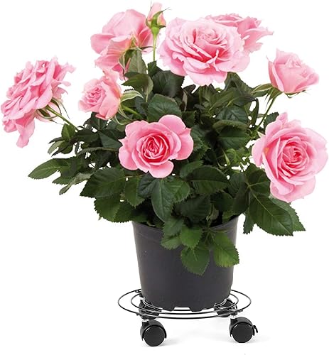 Miniatura 7 de ZOENHOU Paquete de 3 soportes redondos de metal de 11.8 pulgadas con ruedas de rotura, soporte móvil negro de hierro resistente para plantas,