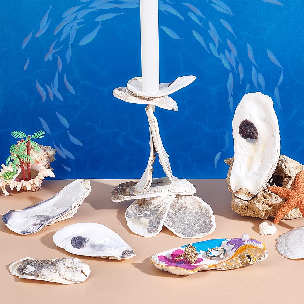 PH PandaHall 30pz Conchiglia di Ostriche per Artigianato Ornamento di Ostrica, 7~12cm Conchiglie di Mare per Artigianato Decorazione Della Casa Riempitivo per Vasi Ornamenti Fai Da Te