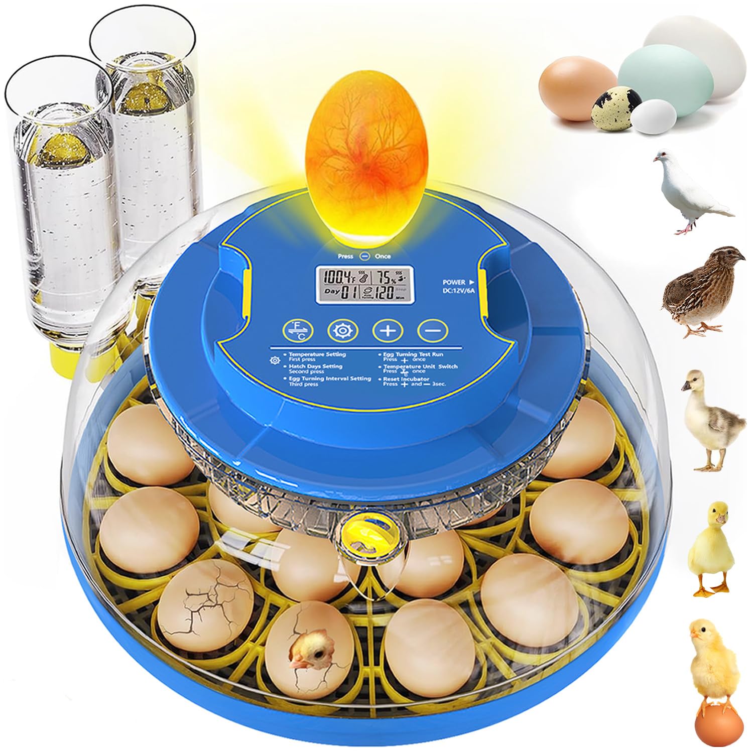 Harris Farms Automatic Egg Incubator