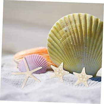 星 ヒトデ 海 天然素材 ミニヒトデ 小さいヒトデ 小さい貝殻 レジン