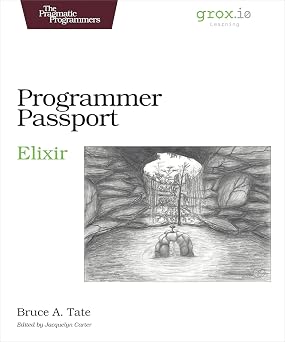 Programmer Passport: Elixir book cover