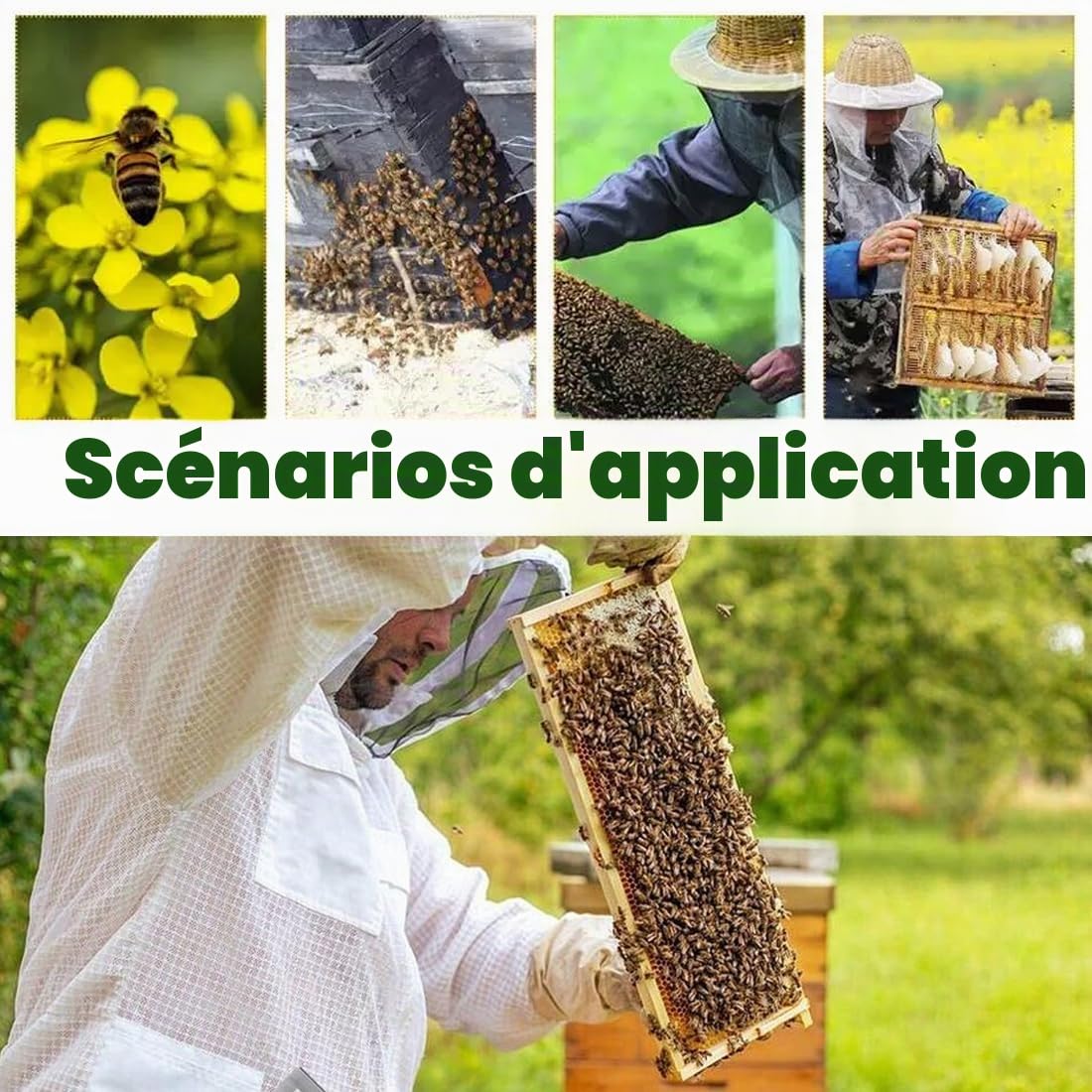 Accessoires d'apiculture,Paquet de 20 bandelettes anti-acariens, un traitement écologique pour ruches, qui contrôle efficacement les acariens.