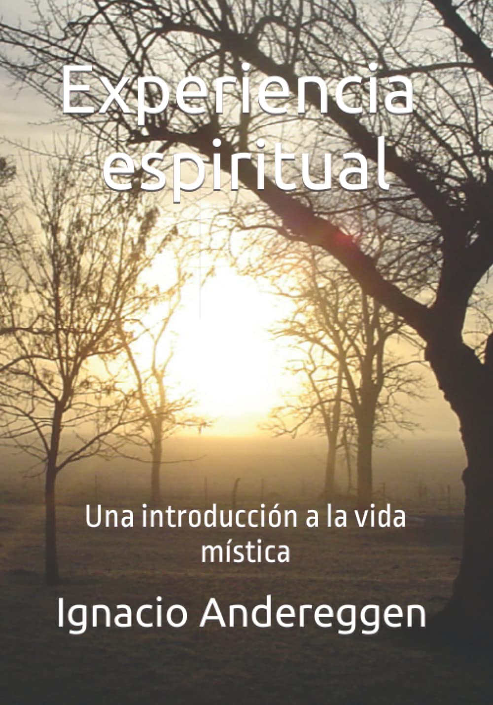 Experiencia espiritual: Una introducción a la vida mística