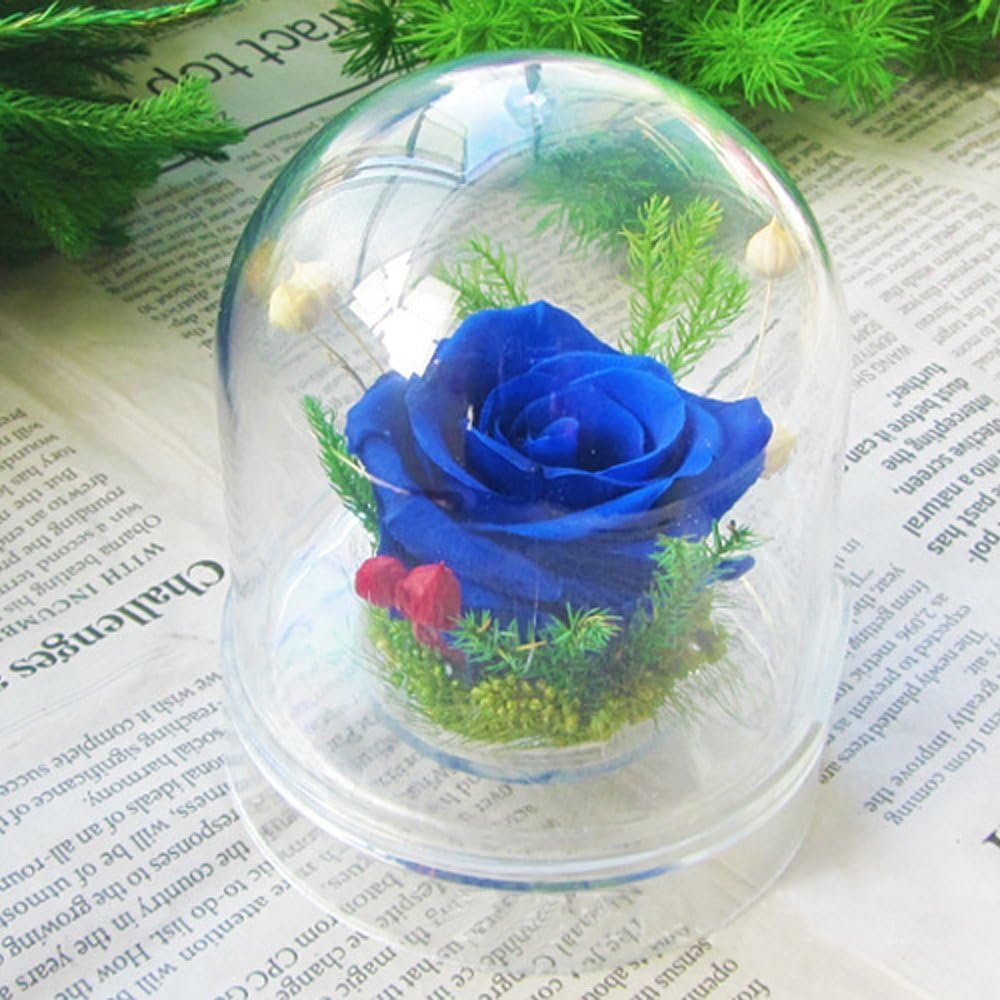 Nice Moment 3~5 Years Fresh Rose Preserved Flower Eternal Rose with Acrylic Dome Box for Lovers Friends Families(Blue)