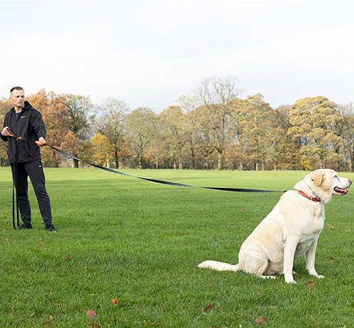 Miniatura 9 de Correa de 50 pies de largo para perros, correa de línea larga para entrenamiento y comandos a distancia, nailon, resistente, ideal para razas