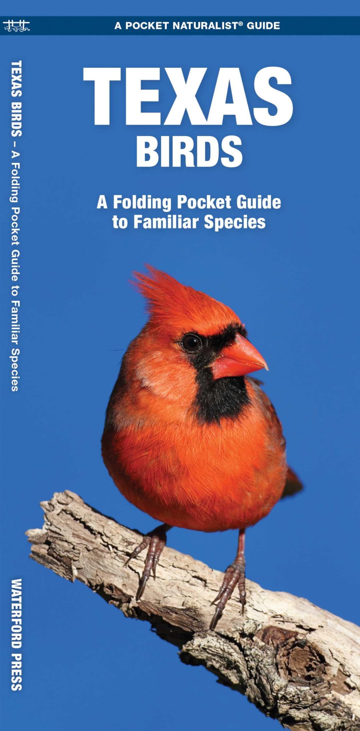Texas Birds: A Folding Pocket Guide to Familiar Species (Nature Observation North America)