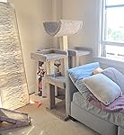 Review Image by Dawn Dawn