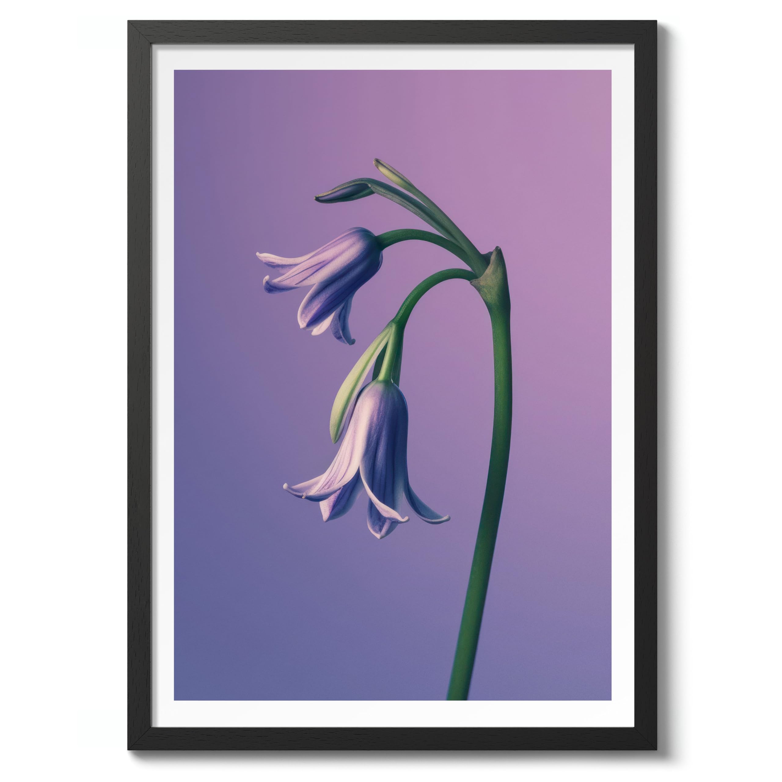 Bluebell Flower Poster, Colourful Floral Home Decor Wall Art, Abstract Colourful Minimalist Bedroom Artwork Gallery, Archival Matte, A5 (Black Frame) - 21x14.8cm — image 1