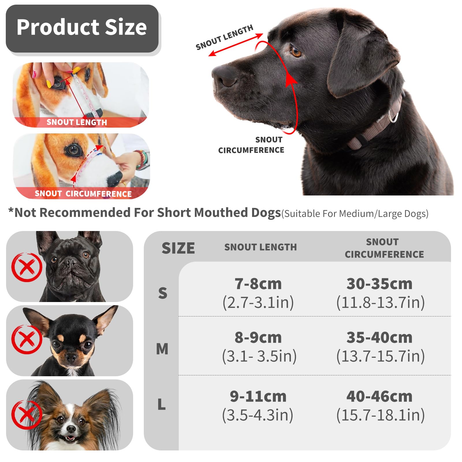 PETCUTE Muselière pour Chien Métal,Museliere Anti Aboiement Anti-Morsure,Muselière Panier en Métal pour Chiens avec Sangles Réglables,Durable,Museliere pour Petits, Moyens Et Grands Chiens,M