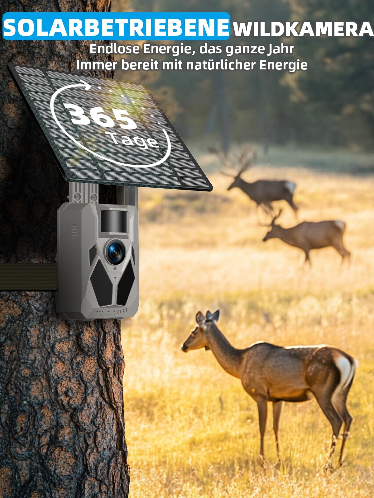 Wildkamera, 4G LTE Wildkamera mit Handyübertragung APP, 2,5K Wildtierkamera Solar mit SIM Karte, Bewegungsmelder, Nachtsicht, 0,2 s Auslösezeit, IP65 wasserdicht, 32GB SD Karte und 7800mAh Akku
