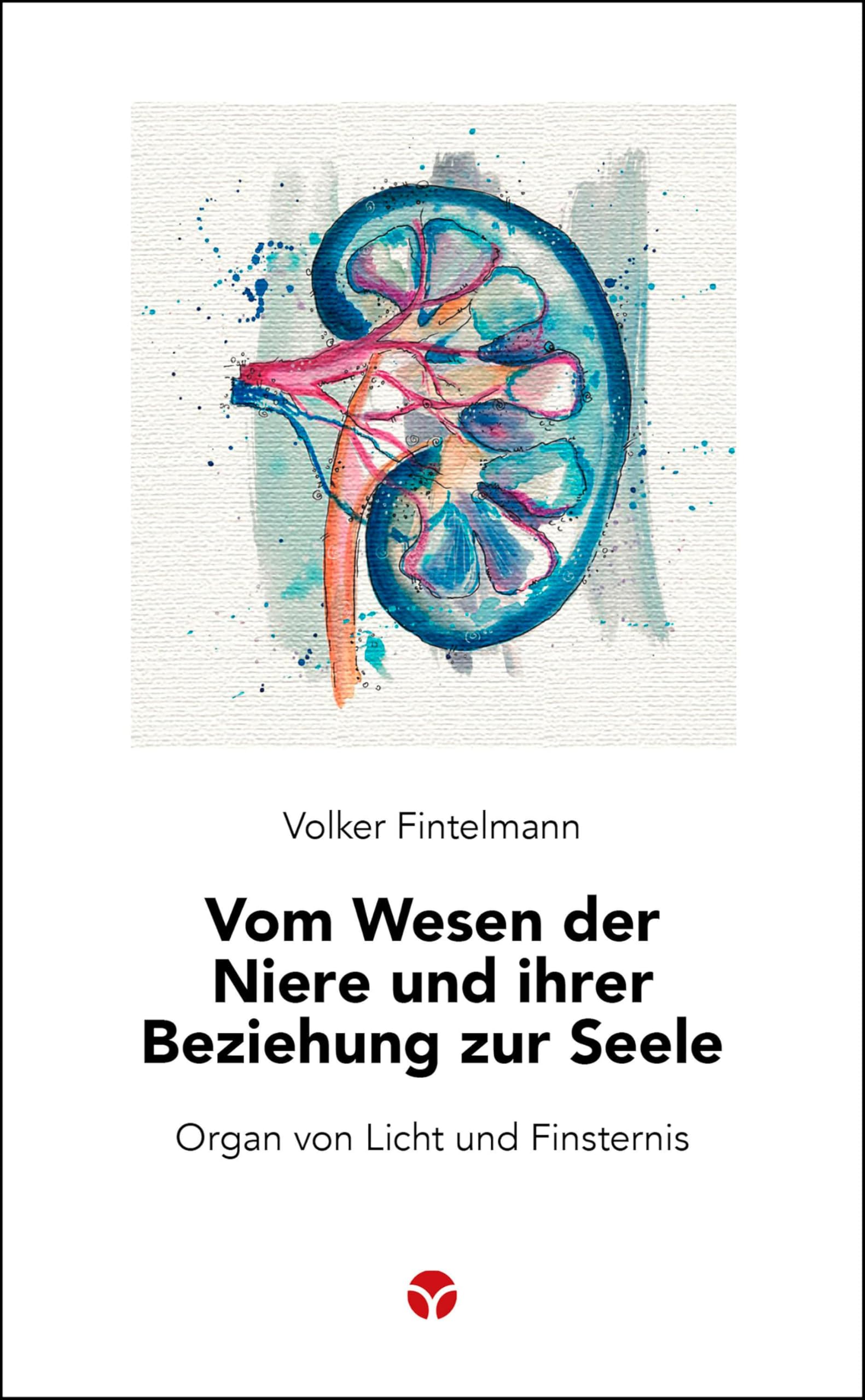 Vom Wesen der Niere und ihrer Beziehung zur Seele: Organ von Licht und Finsternis