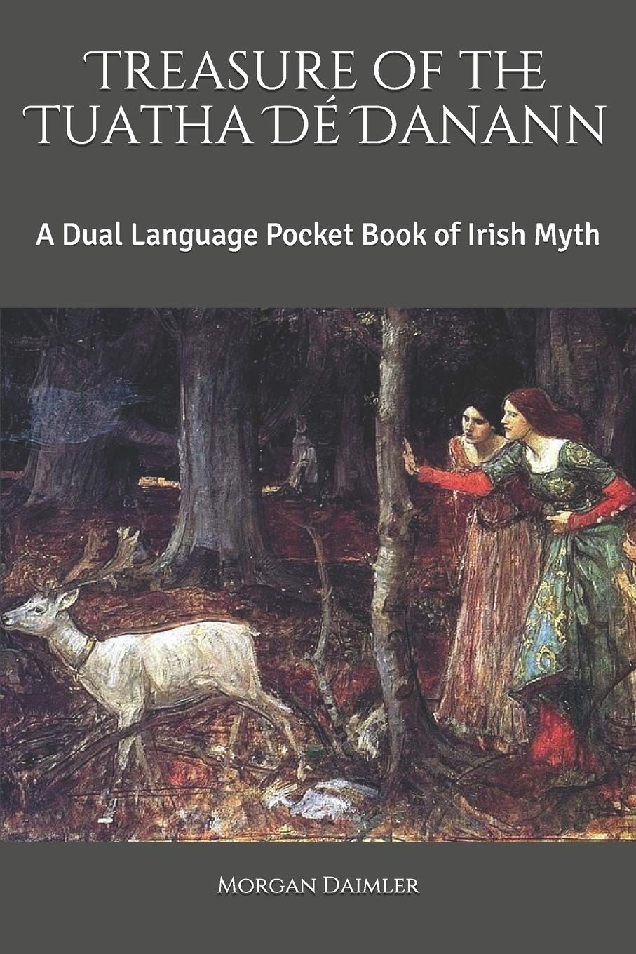 Treasure of the Tuatha Dé Danann: A Dual Language Pocket Book of Irish Myth