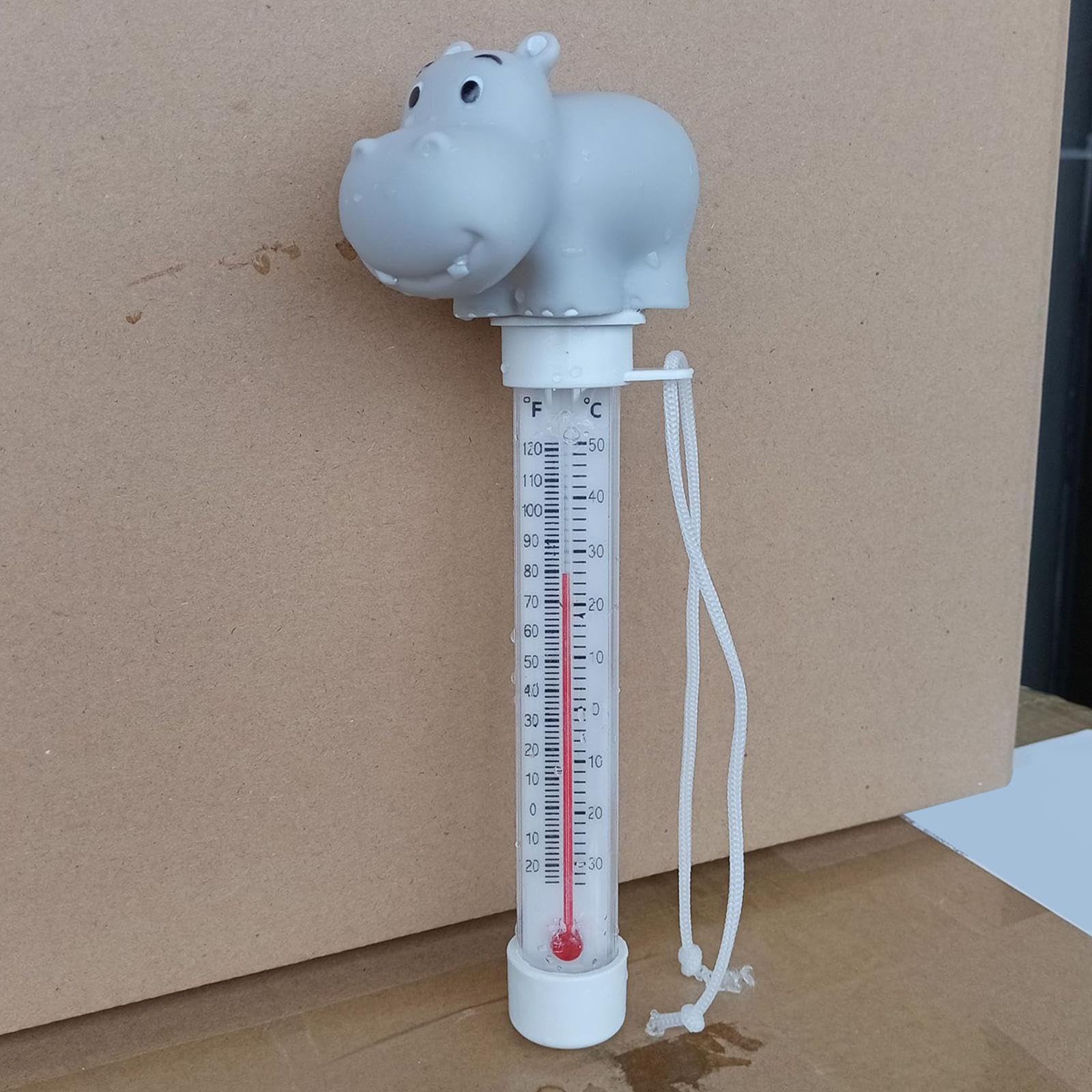 Temperatura Della Piscina Galleggiante, Termometro Per Acqua Di Cartoni Animati, Temperatura Della Vasca Da Bagno, Termoscopio Facile Da Leggere Con Corda Per Vasche Idromassaggio