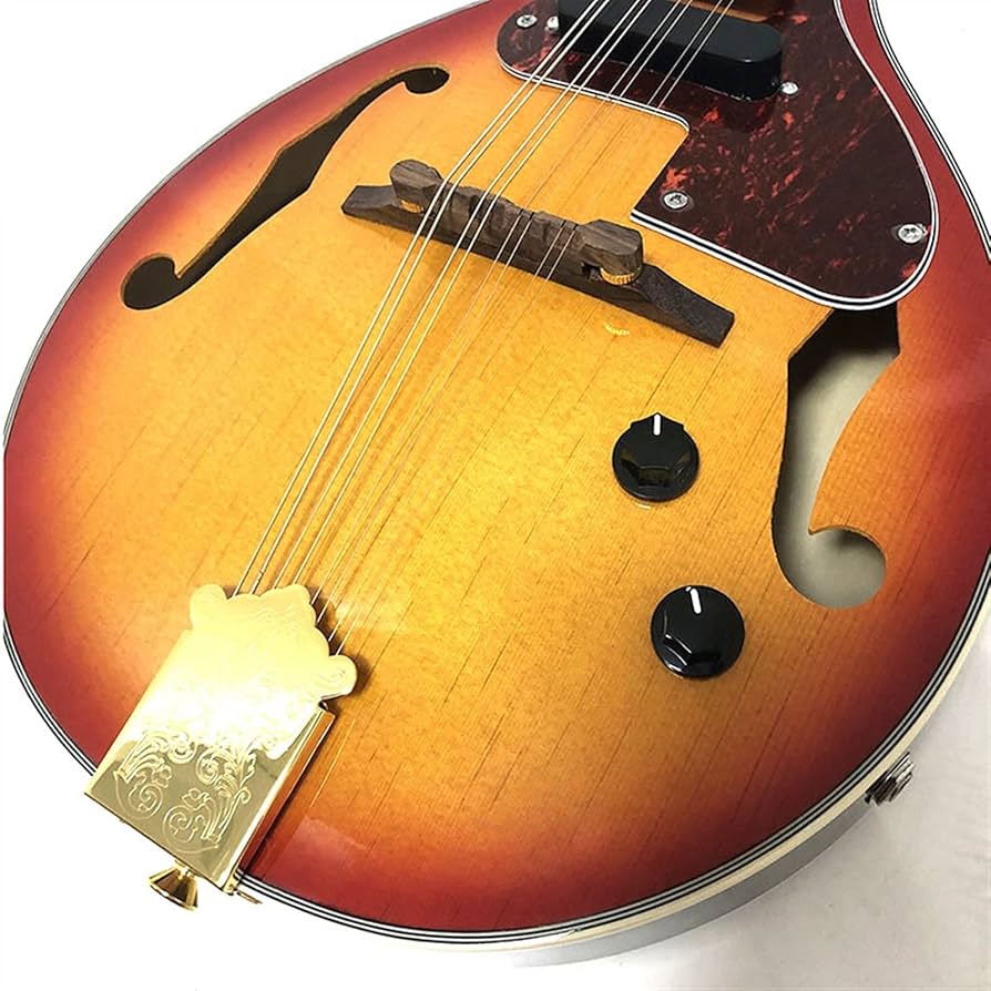 Amazon.co.jp: エレクトリック マンドリン 楽器 エレクトリック