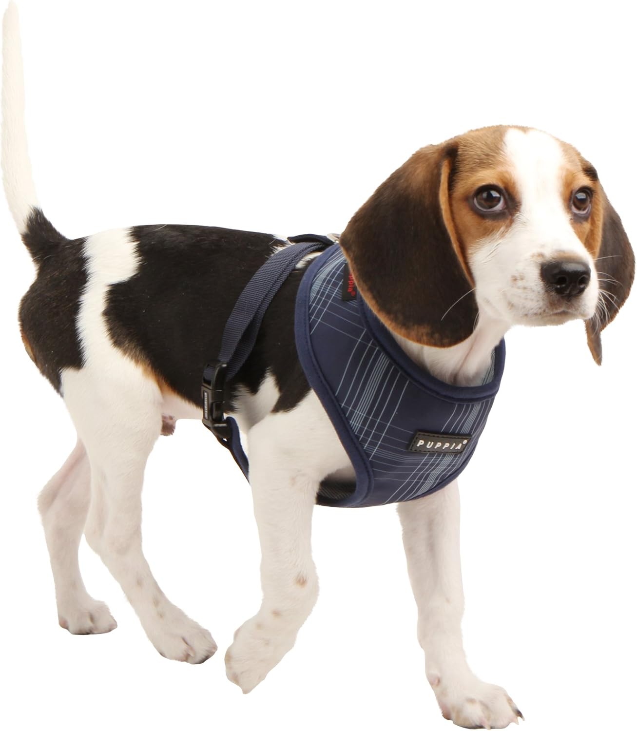 PUPPIA Authentic Cyberspace Pet Harness A, Small, Navy