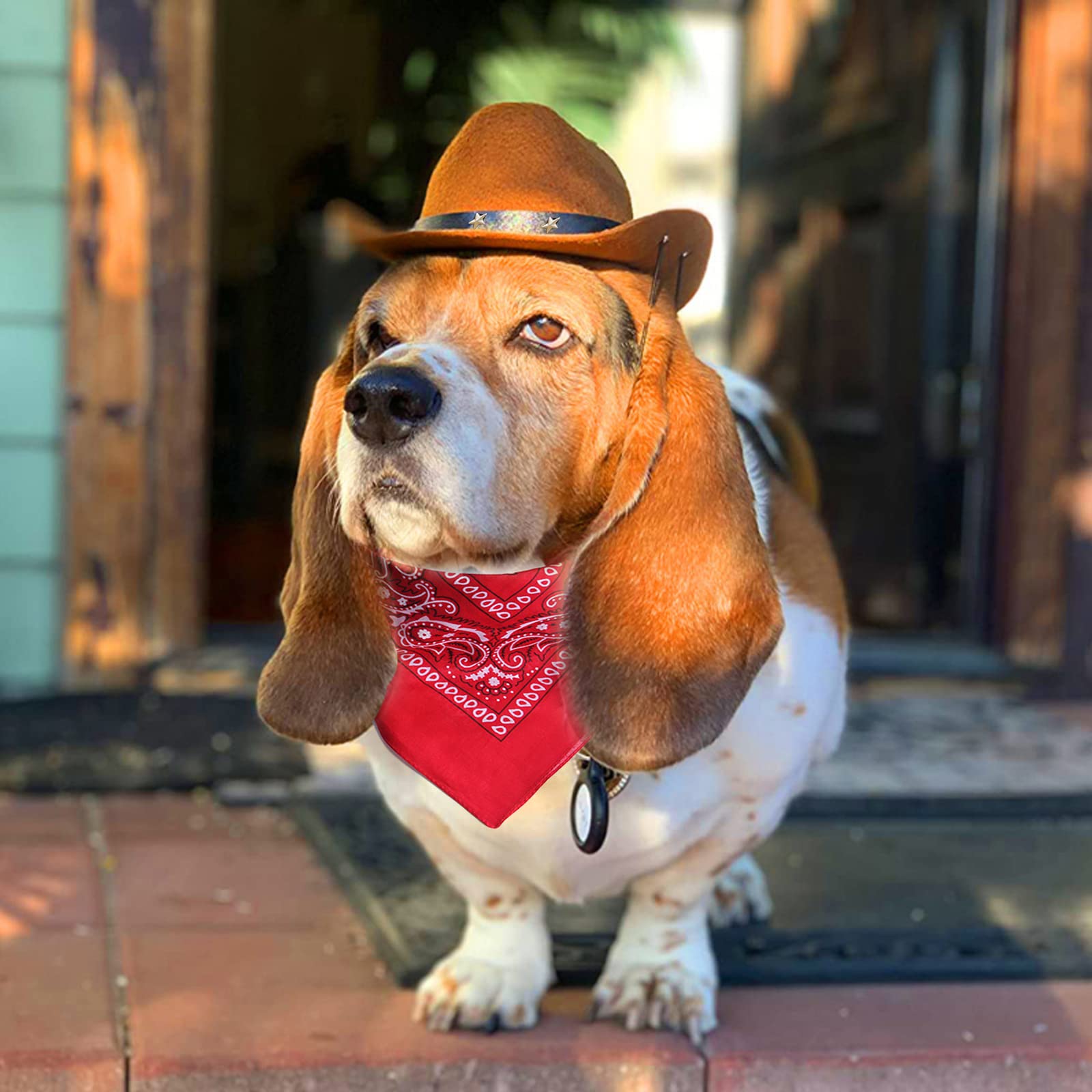 Kowbojski kapelusz i bandana, szalik, pies, kot, sombrero, szczeniak, kostium, cosplay, czapka, szczeniak, pies, kot, wakacje, dekoracja na imprezę dla zwierząt domowych, kawowa