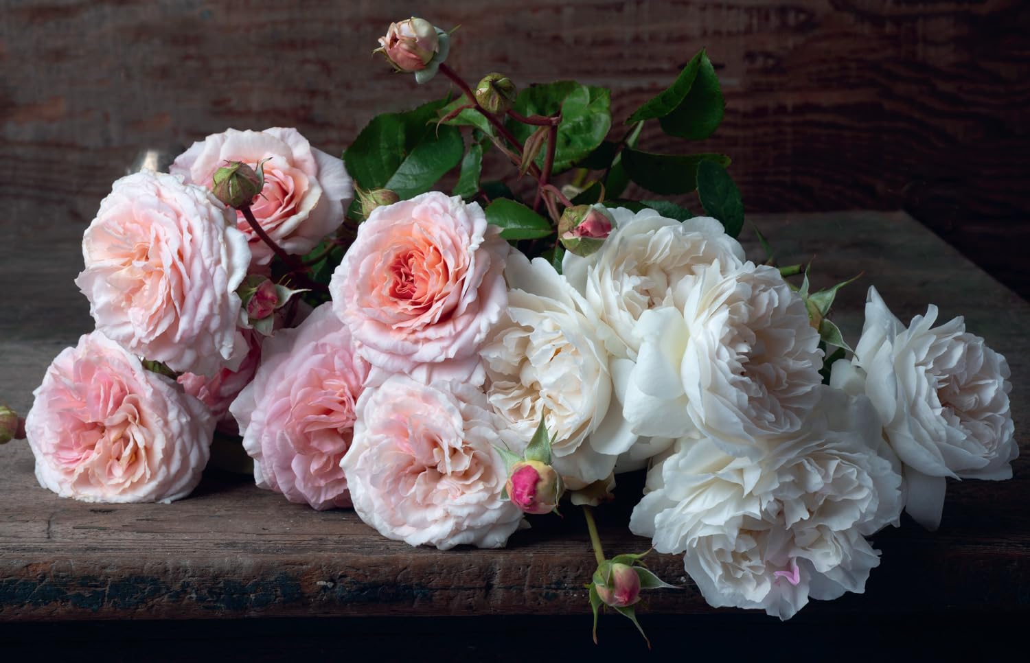 Beautiful Blooms: The ultimate inspiration for anyone who loves flowers, design and photography.