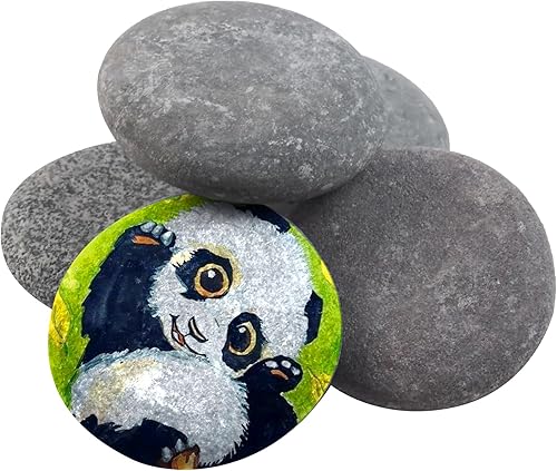 Rocas de río para pintar, suministros de pintura de rocas, rocas para pintar rocas de río, piedras planas para manualidades, piedras de río para