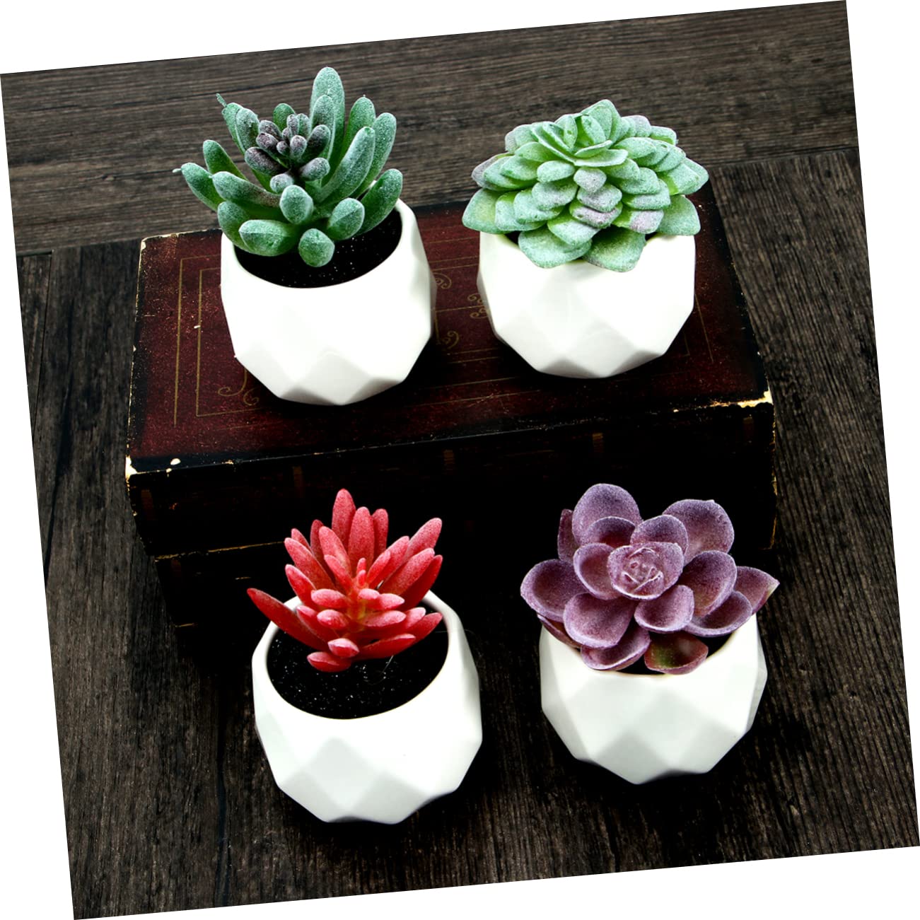 Composizione di Piante Grasse Artificiali in Vaso 4 Pezzi Ceramico Pvc