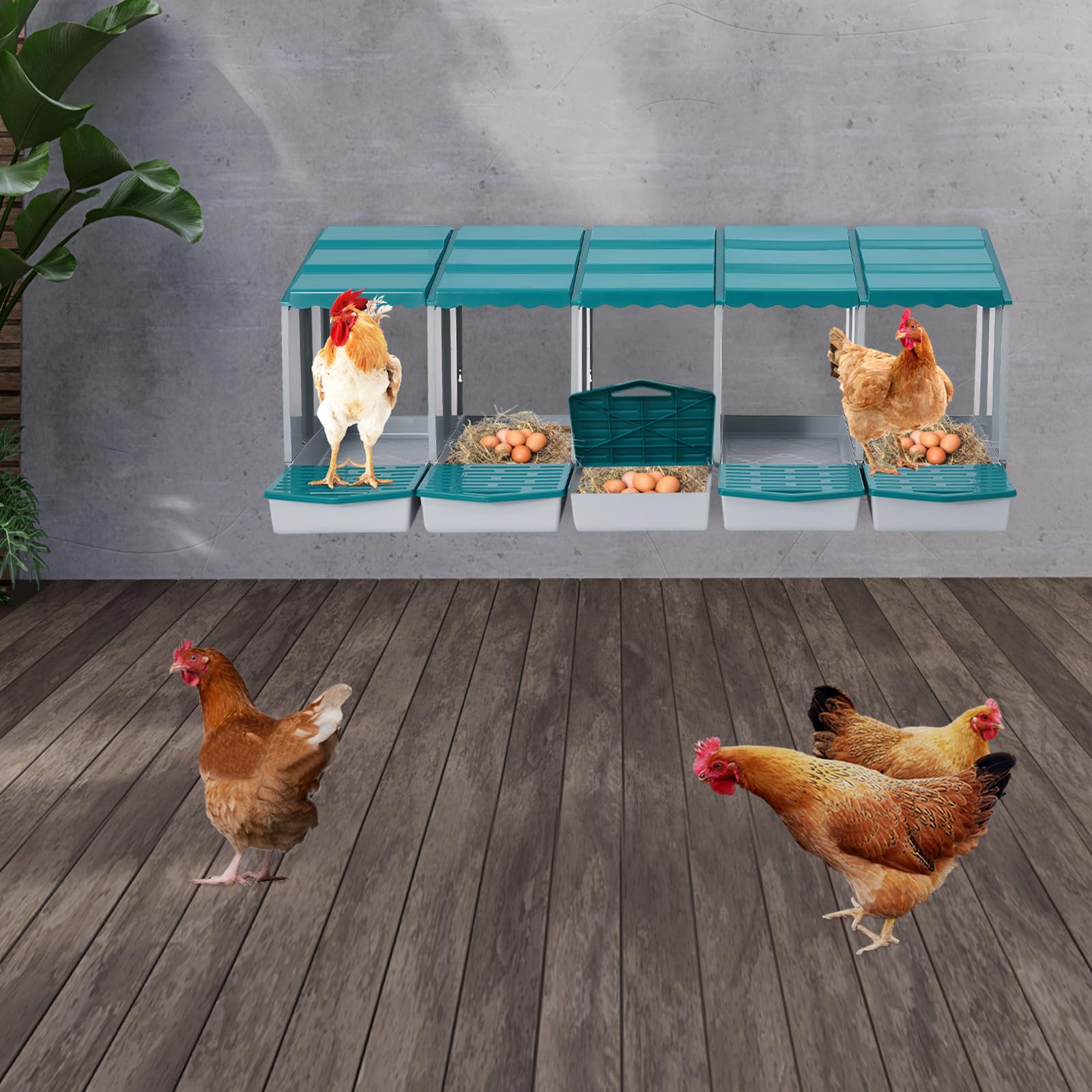 Gallinero nido para gallinero, accesorios, caja con recogehuevos, de material PP, para montaje en pared o de pie en exteriores, cría de pollos (verde, 5 compartimentos)